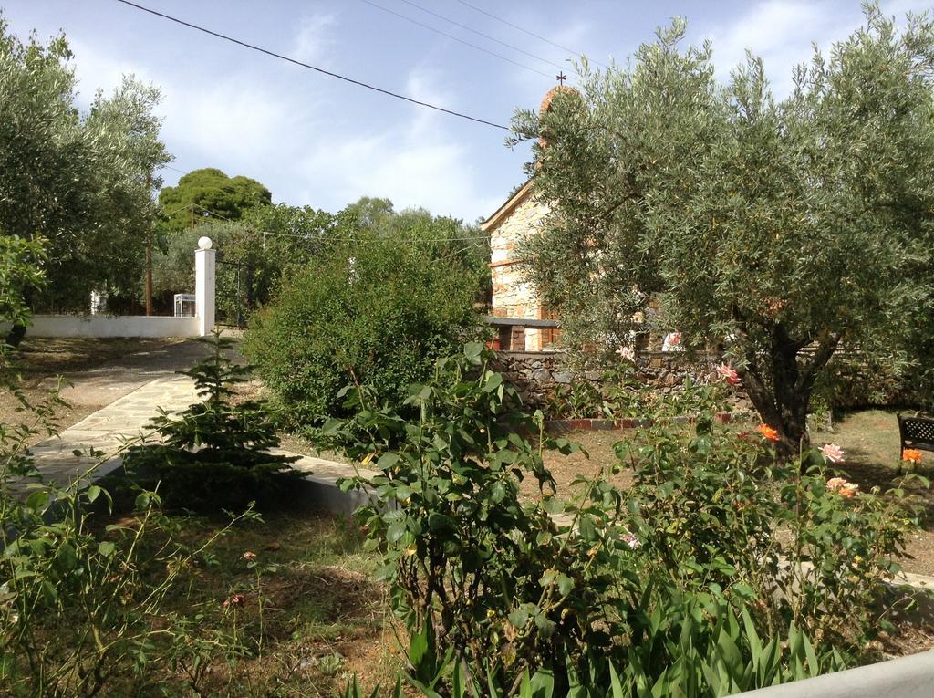 Armonia Guesthouse Panormos  Exterior foto